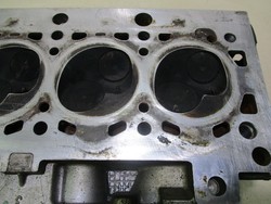 id_17297_IMG_9884.JPG