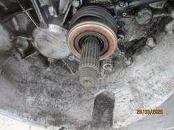 id_19406_IMG_9591.JPG