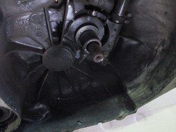 id_19458_IMG_3647.JPG